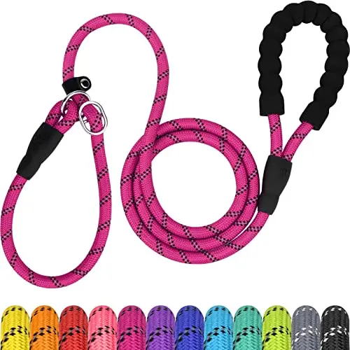 TagME hot pink slip leash with dual-lock safety system