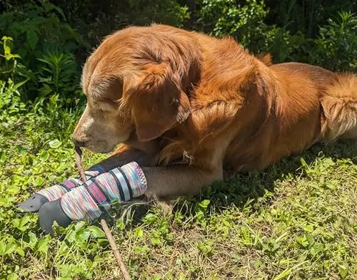 Bark Brite multicolor neoprene dog boots with reflective straps