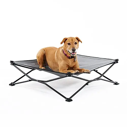 Coolaroo foldable pop-up elevated dog bed with breathable mesh, shown in a carry bag