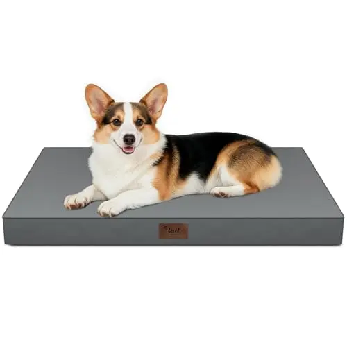 Tail Stories grey waterproof orthopedic foam dog bed