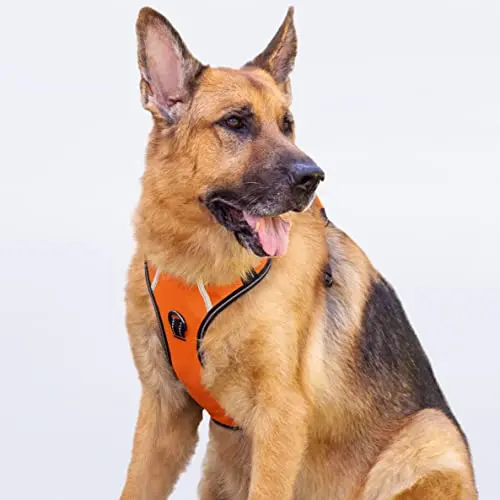 Puwihoe no-pull dog harness in orange with reflective design