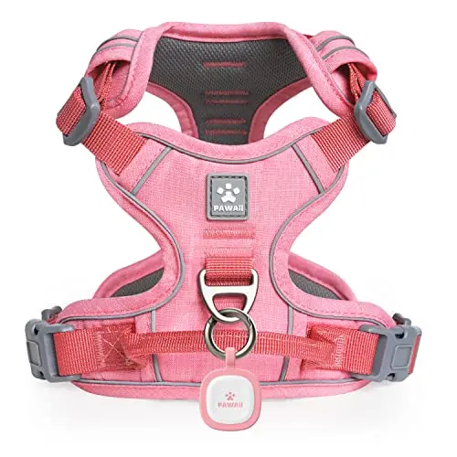 Pawaii Dog Harness for small dogs in Mimi Pink with a digital ID tag attached