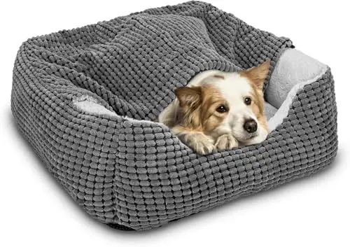 GASUR grey rectangular dog bed with an attached hooded blanket