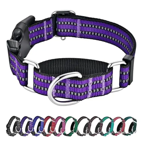 Hikiko reflective martingale dog collar in purple