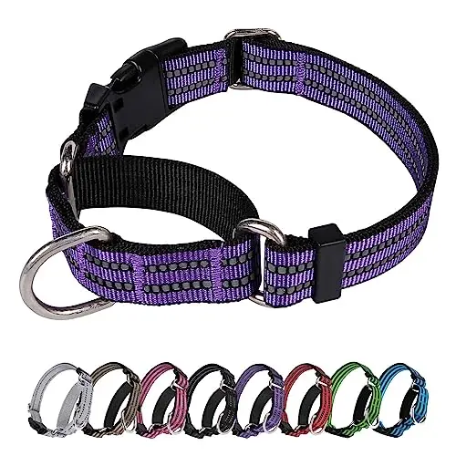 JOYEEIIOO adjustable martingale collar in purple