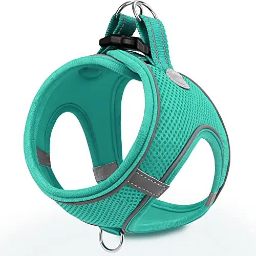 Joytale teal dog harness with breathable mesh for small sized dogs