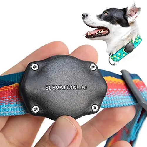 Elevation Lab TagVault AirTag holder mounted securely on a blue dog collar.
