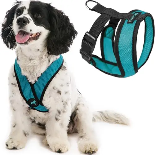 Gooby Comfort X Head-in Harness in turquoise, designed for small to medium dogs.