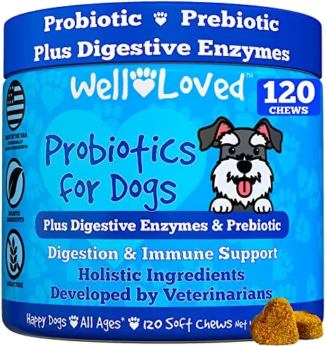 Well Loved vet-developed dog probiotic soft chews