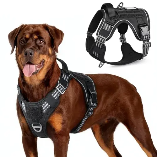 Rabbitgoo black tactical dog harness with handle and MOLLE panels on a German Shepherd