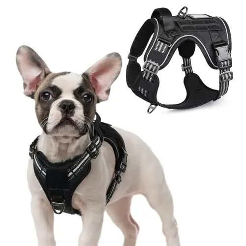 Rabbitgoo Tactical Dog Harness with handle and MOLLE panels