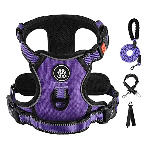 IVY&LANE no pull dog harness in purple with neck wearing design for small dogs