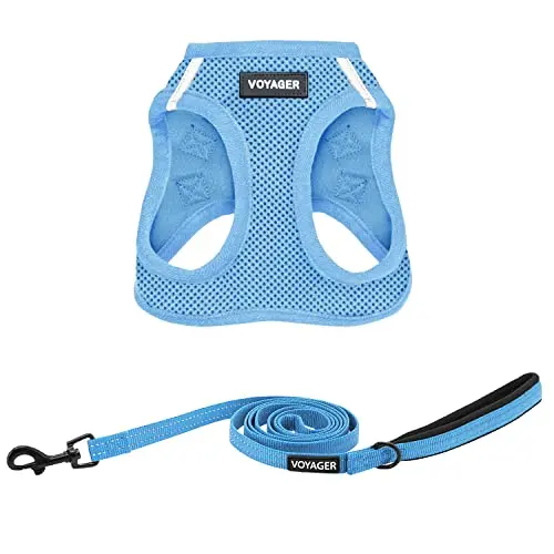 Best Pet Supplies Voyager step-in air mesh dog harness and leash set in baby blue