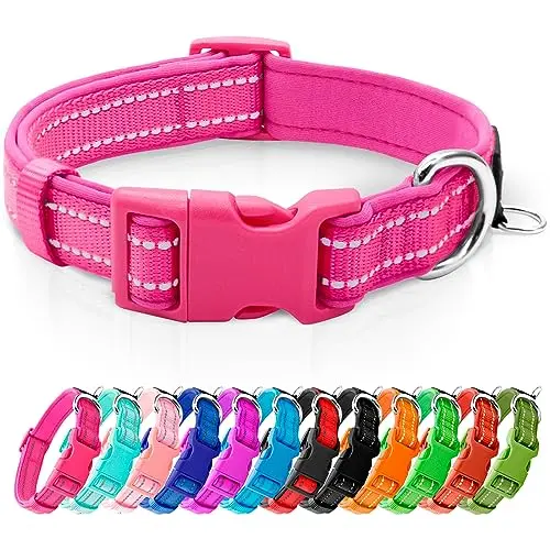 azuza reflective dog collar in hot pink with ID tag ring for small dogs
