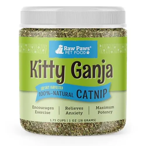 Raw Paws fresh catnip in a resealable container