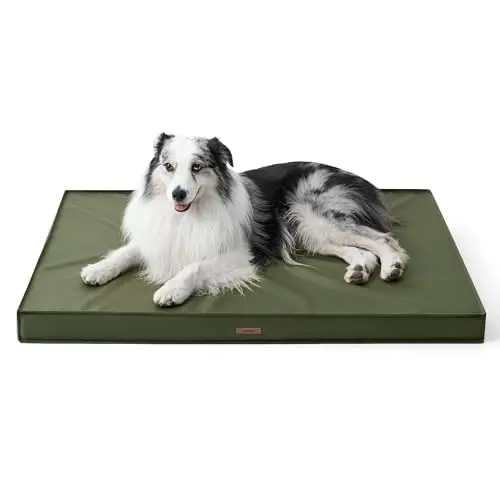 LE SURE green waterproof egg crate foam dog bed outdoors