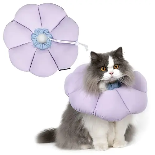 H HIDREAM purple flower-patterned waterproof cat recovery collar