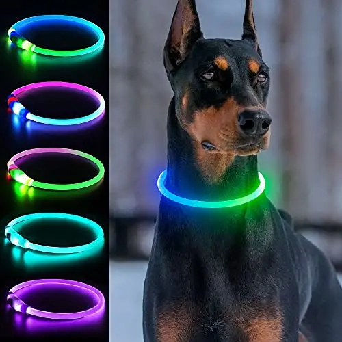 Dlitk LED dog collar with green and blue lights, adjustable on a small dog