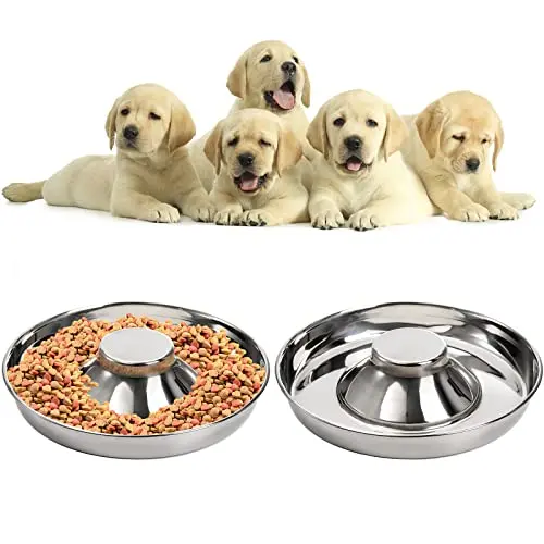 Two wide, shallow stainless steel SOUJOY puppy bowls with a raised center