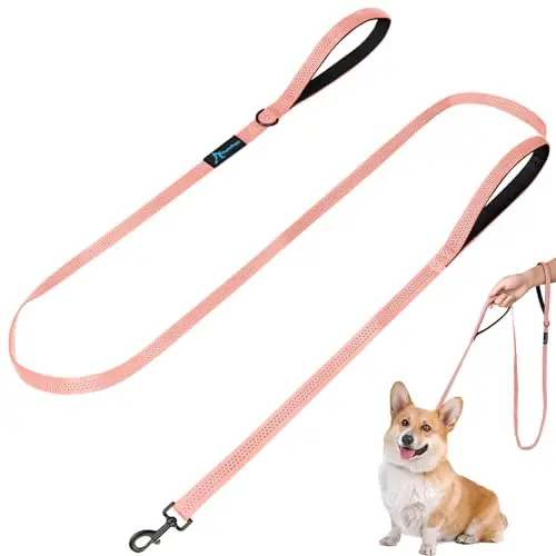 PuppyDoggy pink nylon dog leash with two padded handles
