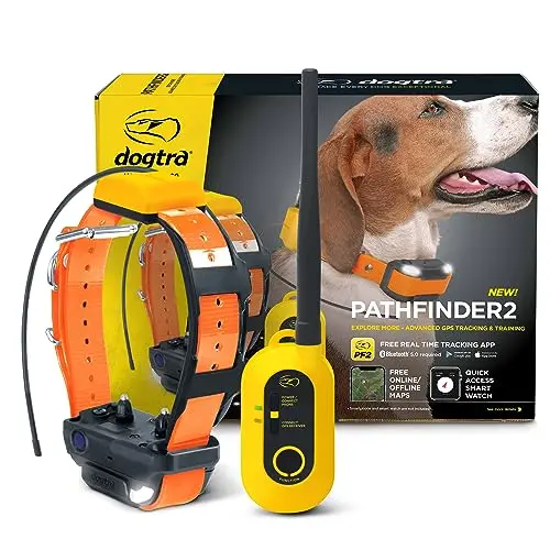 Dogtra Pathfinder 2 GPS dog collar with remote and yellow strap