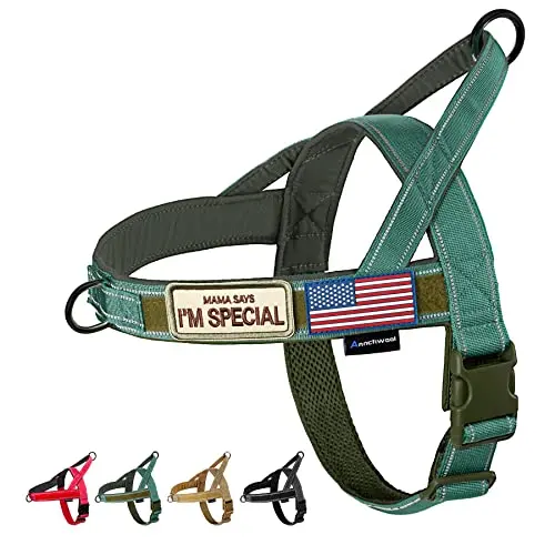 Annchwool green dog harness with soft padded handle and reflective strips.