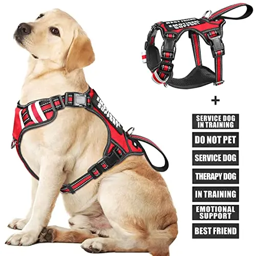 WINSEE Service Dog Vest harness in red with included patches