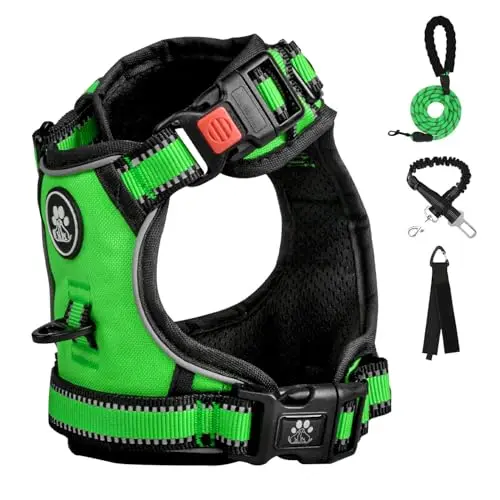 FURRYFECTION green plaid dog harness with dual D-rings and included accessories