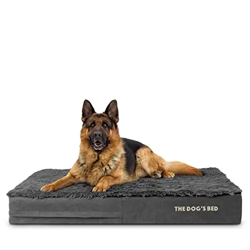 The Dogs Bed orthopedic memory foam dog bed with flat design and removable cover for XL dogs