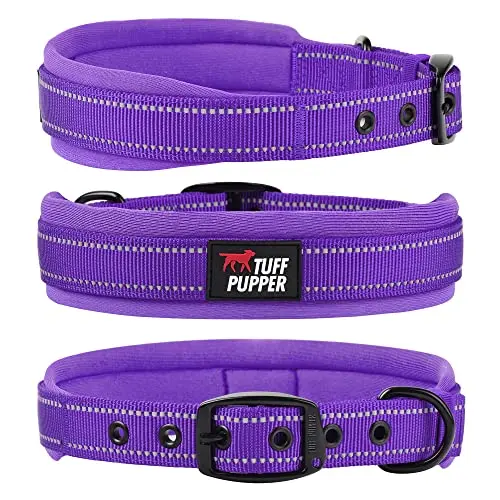 Purple padded dog collar with integrated metal ID tag holder in the buckle.
