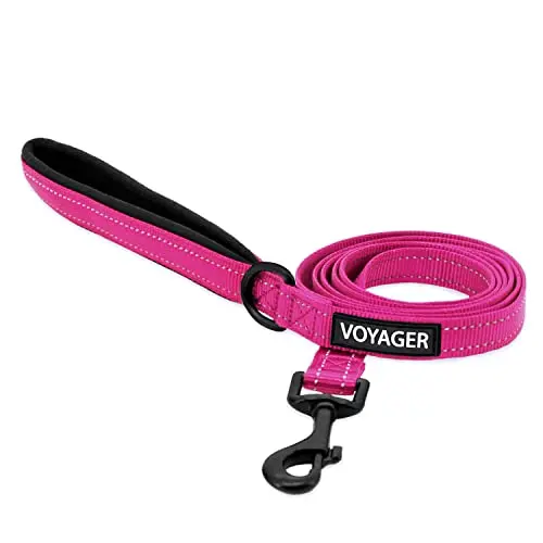 Best Pet Supplies 5-foot nylon dog leash with neoprene handle
