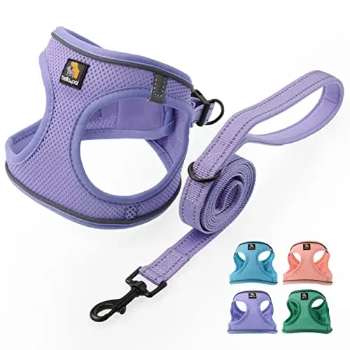 BELLA & PAL lavender step-in vest harness for small puppies
