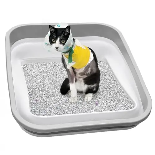 Maohegou three-legged open low entry litter box for arthritic senior cats