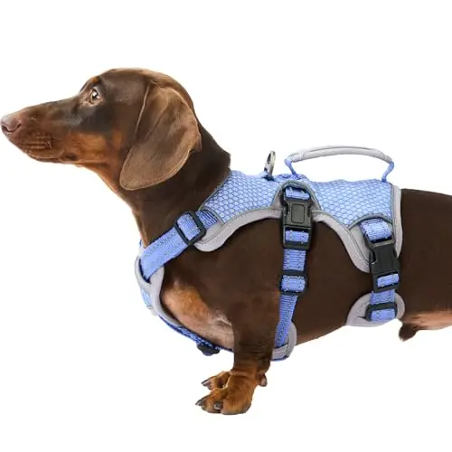 Huntboo technicolor blue adjustable escape-proof dog harness with reflective details