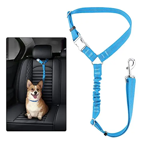 Plutus Pet blue dog seat belt attaching to car headrest