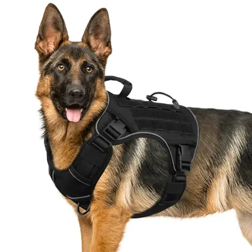 WINGOIN black tactical dog harness with reflective strips and handle on a Husky