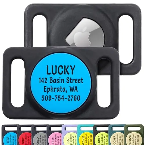 GoTags silicone AirTag holder with custom engraved text, sliding onto a dog collar.
