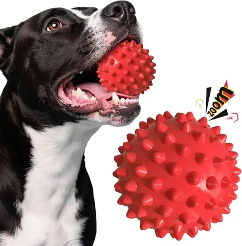 Apasiri Beef-Flavored Squeaky Dog Ball