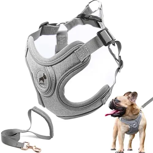SAEGYPET gray dog harness with animal print and leash set