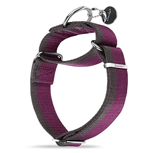 Dazzber extra strong martingale dog collar in purplish red and grey for medium to xlarge dogs