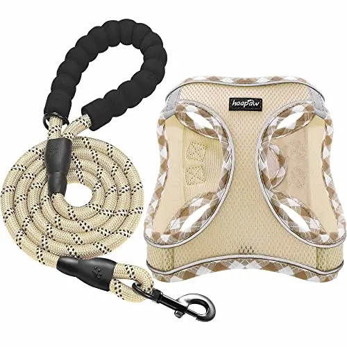HAAPAW beige thickened padded step-in dog harness set