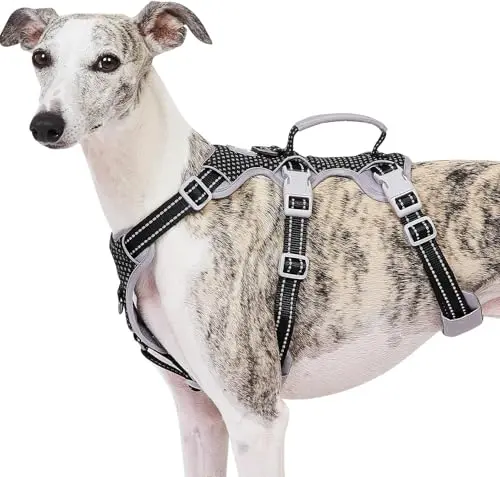 Huntboo escape proof reflective dog harness with handle in black