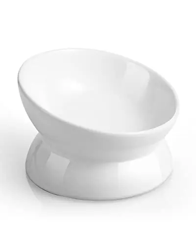 LoeJan tilted ceramic elevated cat bowl for food and water
