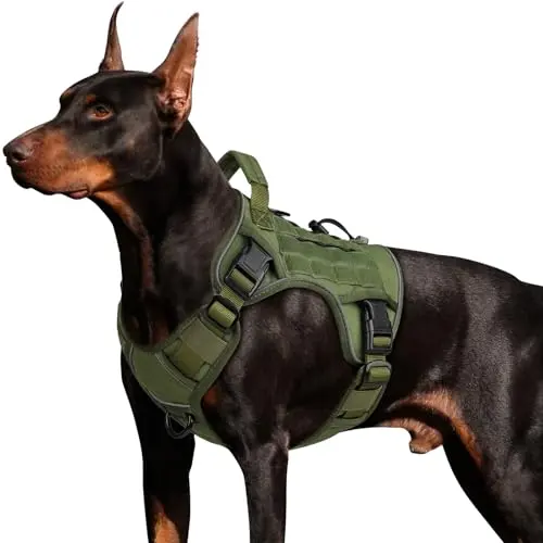 WINGOIN Tactical Dog Harness in green with sturdy handle