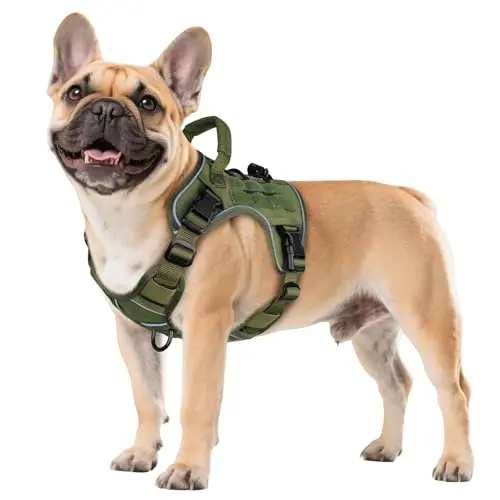 WINGOIN green tactical dog harness with reflective strips and handle