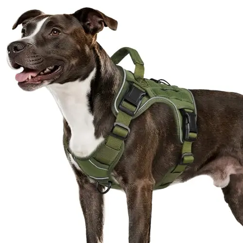WINGOIN green tactical dog harness with four quick-release buckles