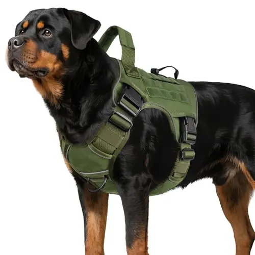 WINGOIN green tactical dog harness with side-release buckles on a large breed dog