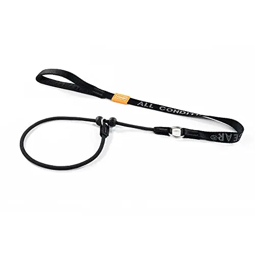HowGo black slip leash with padded handles and anti-tangle swivel