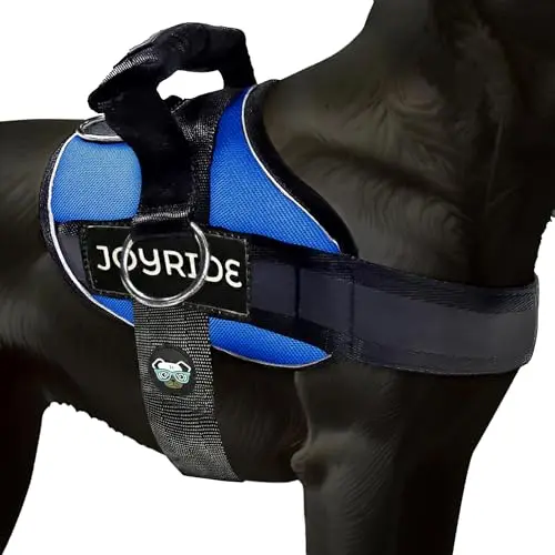 Joyride Harness blue dog harness with side leash ring