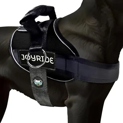 Joyride Harness 2.0 for small dogs with side-ring design and name tags